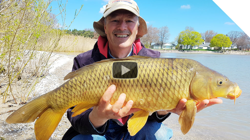 Shore Fishing for Carp - A Simple Setup for Easy Results | Boatless Angler