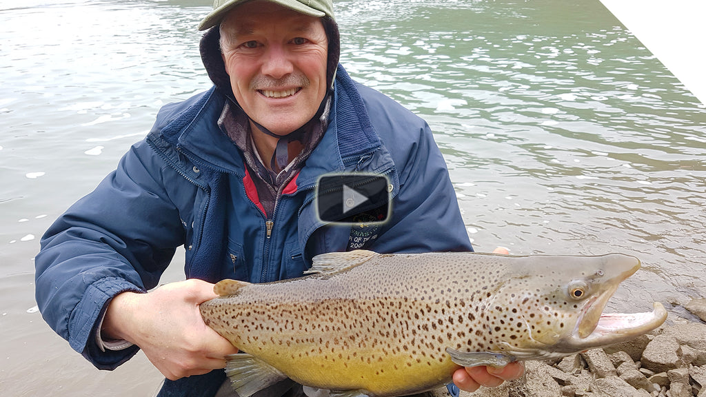 Steelhead and Brown Trout Combo - Boatless Angling