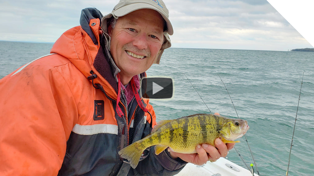 How to catch perch with minnows | Catching panfish
