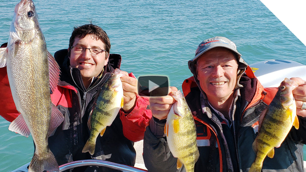 Fishing for Perch with Live Minnows