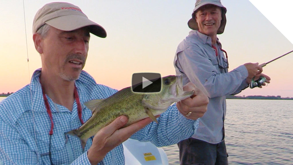 Topwater Largemouth Bass (with topwater fishing tips)
