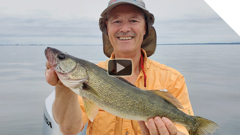 Tipping for bass, walleye, and perch