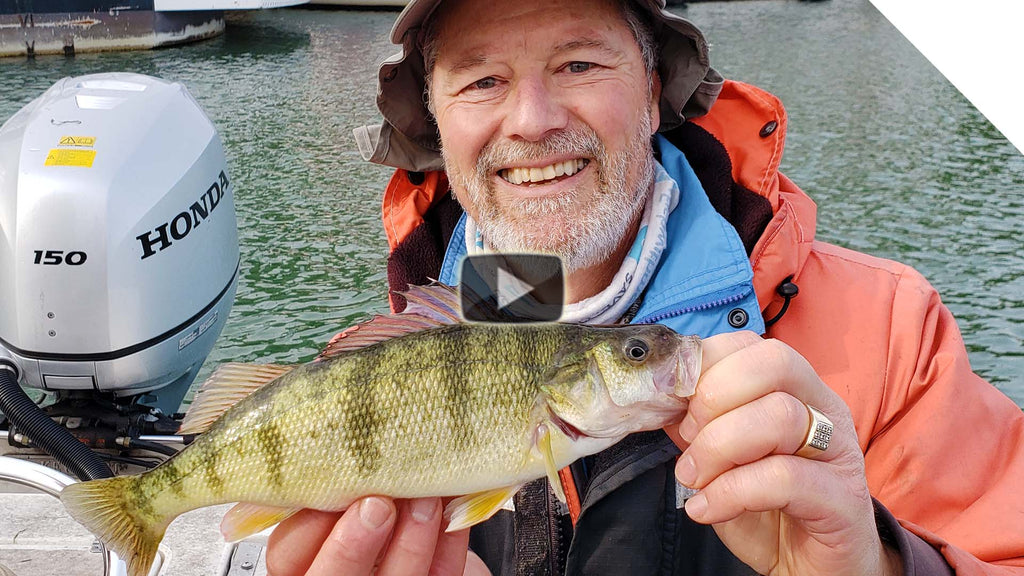 Catching Perch with live bait