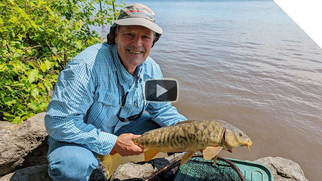 Carp fishing from shore with the simplest bait: corn!