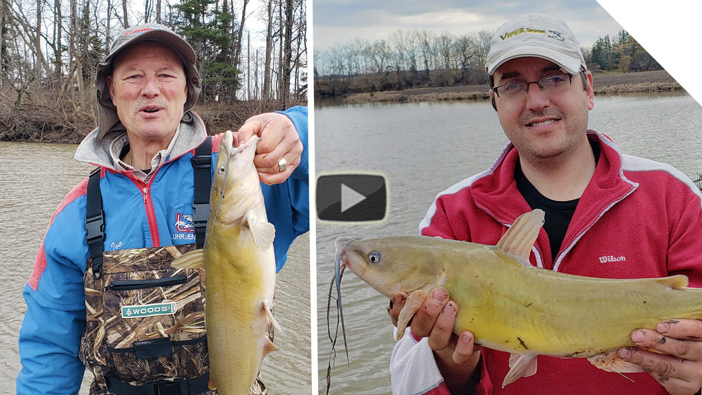 Channel catfish from the muddy shorelines and a simple setup