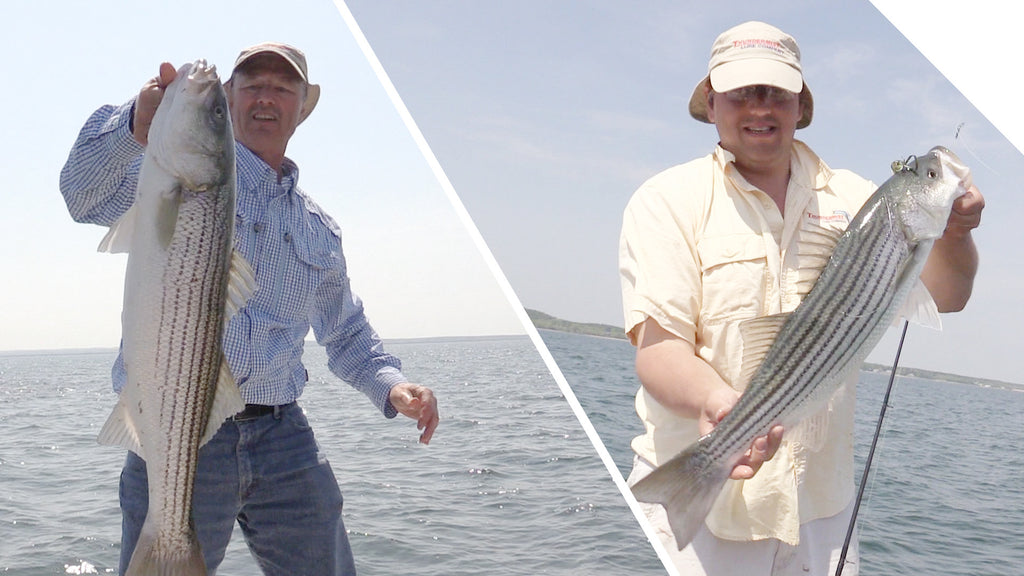 Jigging for Stripers with Twister Tails