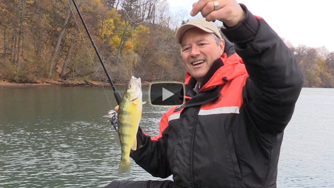 How to Catch Perch - Perch Tips using Live Minnows