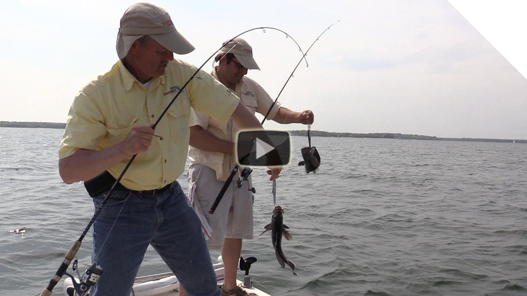 Casting Crank Baits for Sea Bass