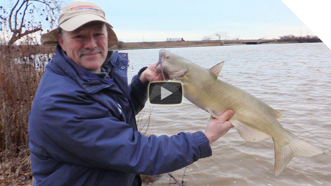 Catching Bullheads and Channel Catfish - With Cut Sucker as Bait