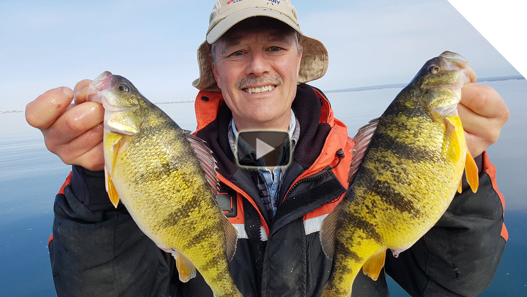 Jumbo Perch Overload! Using the Simple Stingnose Jigging Spoons