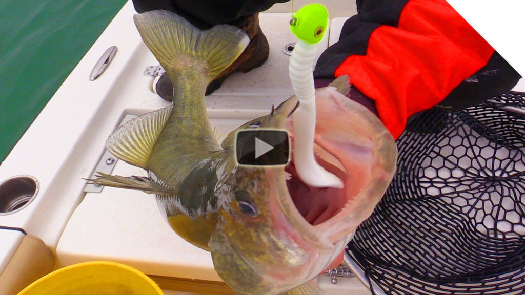 Jigging Tips for Walleye and Trout - Choosing the Right Artificial Bait