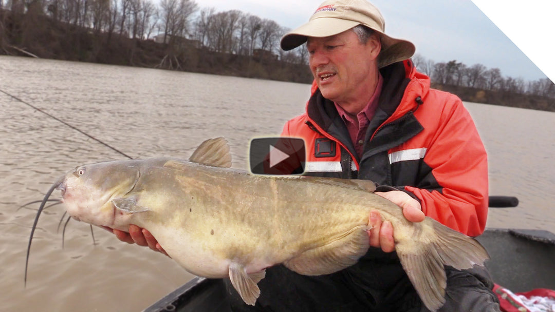 Catching Big Channel Catfish using Chicken Liver