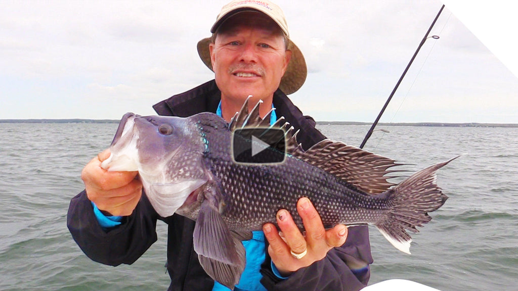 Do different lures really make a difference? Here's that put to the test.