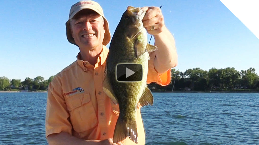 Smallmouth Bass with the New Stingeye - Opening Day Smallmouth Bass