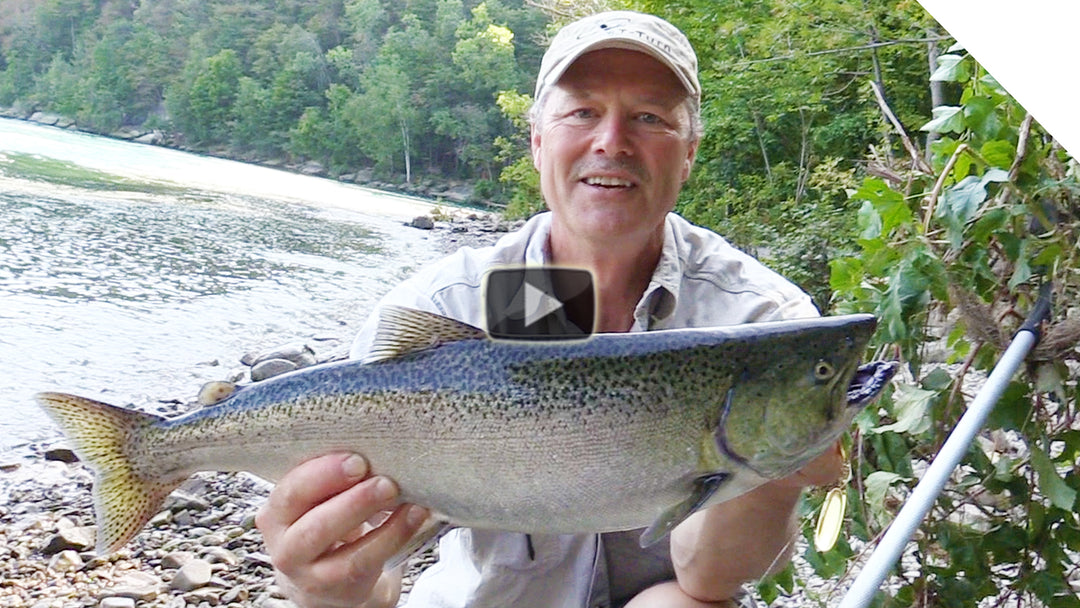 Using the New Stingeye Spinner to Catch Salmon