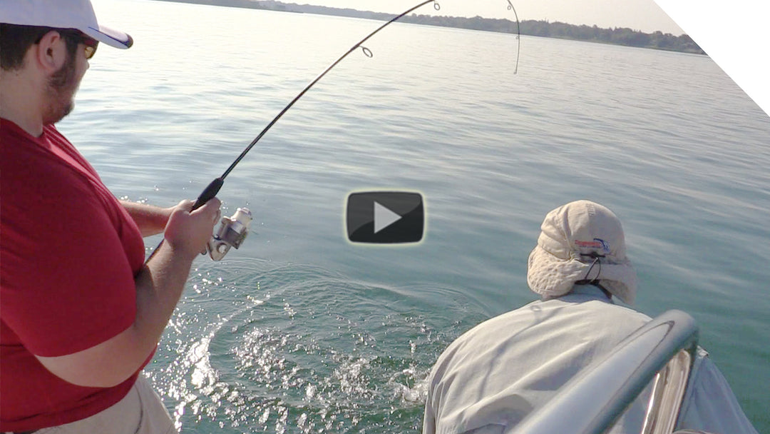 Mixed Bag of Smallies, Silver Bass, and Walleye