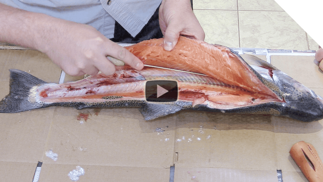 How to fillet a trout