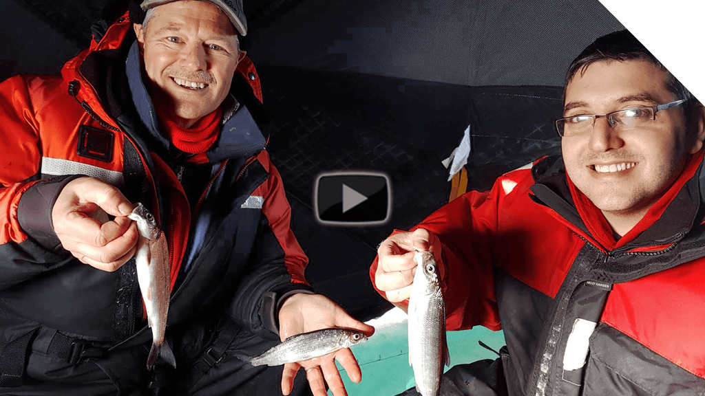 Ice Fishing Lake Simcoe for Cisco (Lake Herring) | Boatless Angler