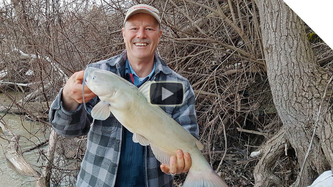 Early Season Spring Channel Catfish