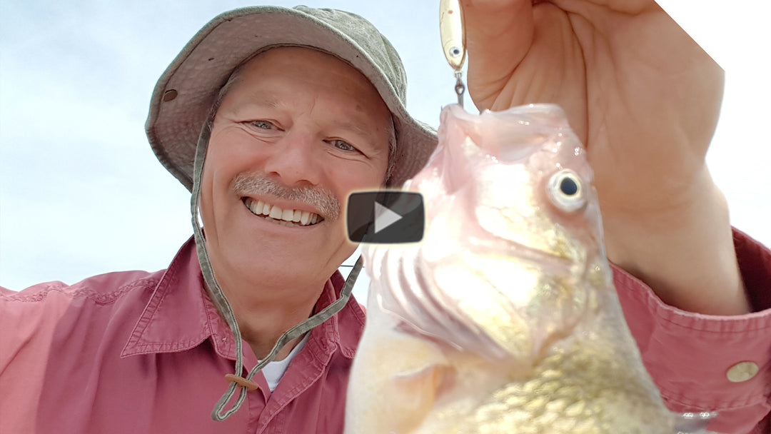 Jigging for Jumbo Perch with the New Gold Stingnose Jigging Spoon