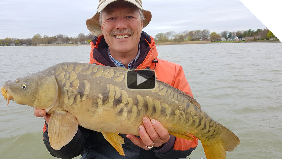 Carp Fishing using a Bolt Rig (Common Carp and Mirror Carp!)