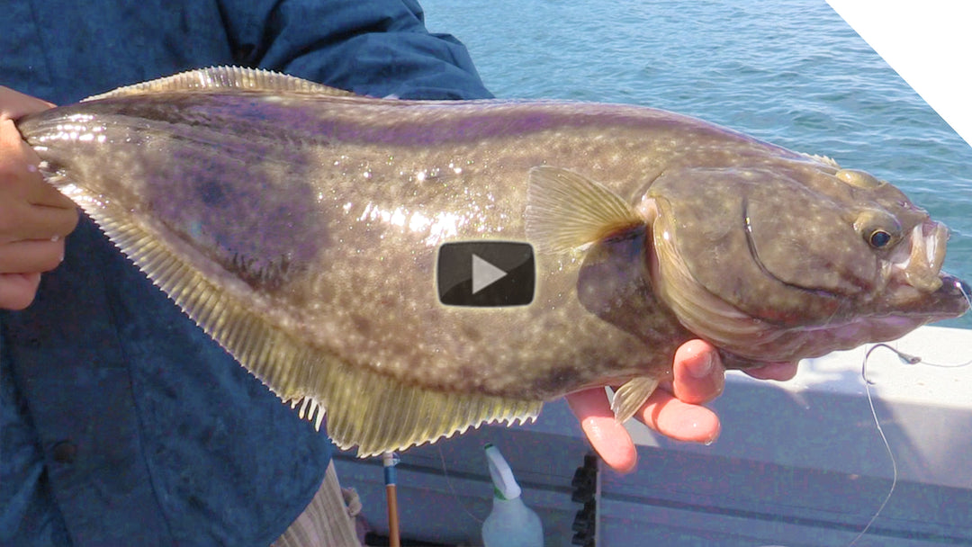 Alaska Halibut Fishing