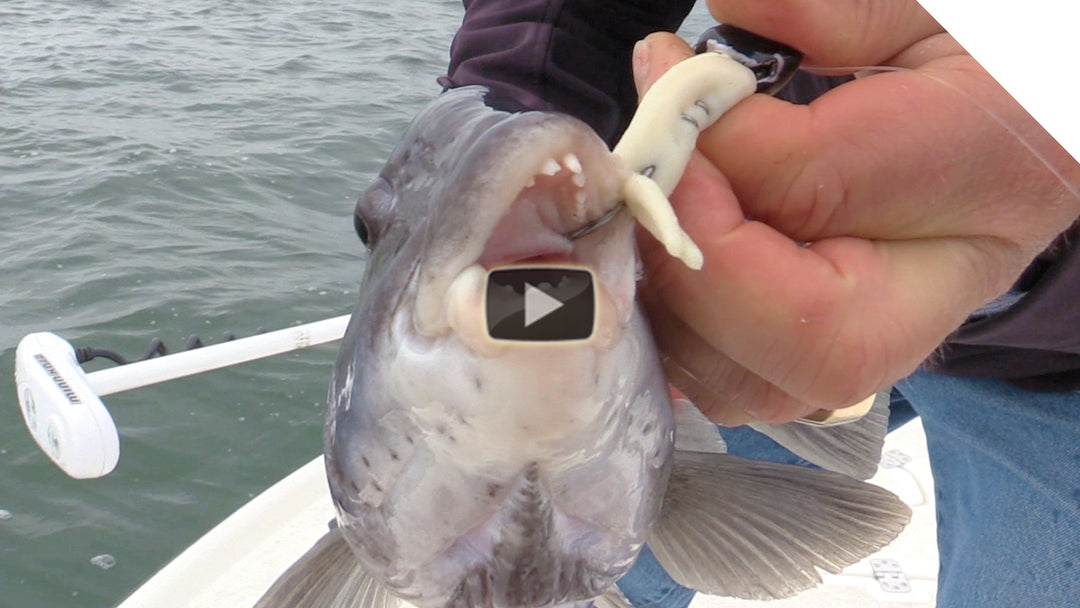 Saltwater Jigging in Buzzards Bay, Cape Cod