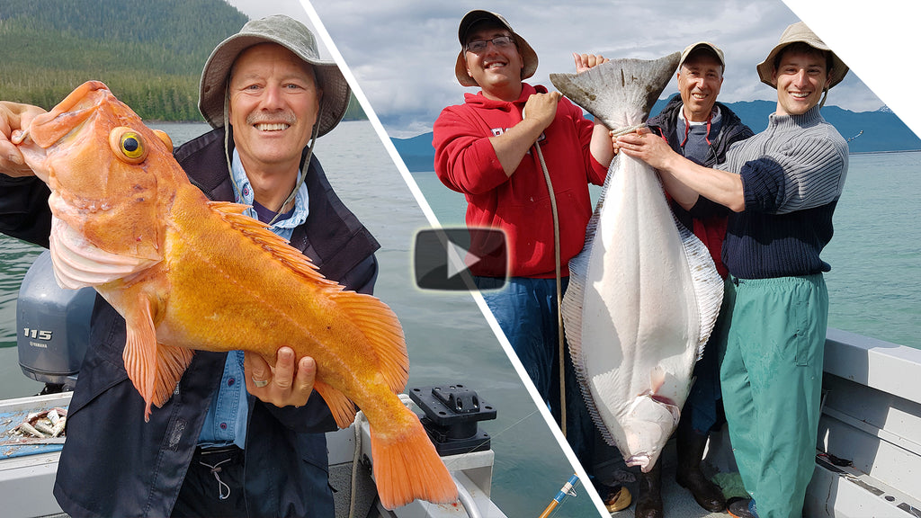 Alaska Yelloweye Rockfish, Cod and Halibut - One of the best days fishing, ever (45-Minute Special!)
