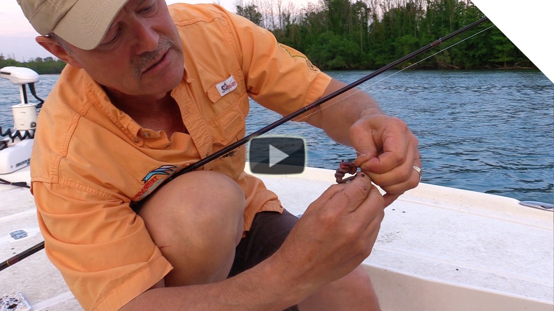 How to Rig Live Worms - 3 Effective Ways
