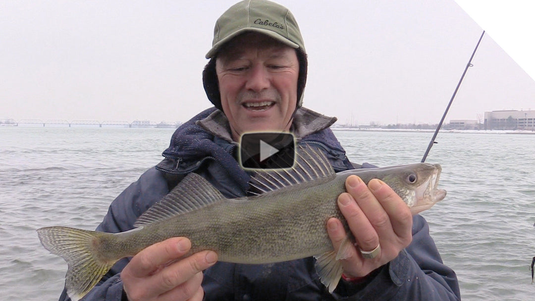 Christmas Walleye on the bounce