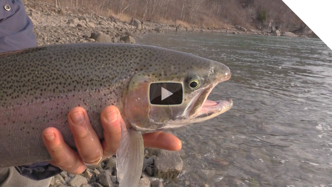 Shoreline Spinning for Steelhead