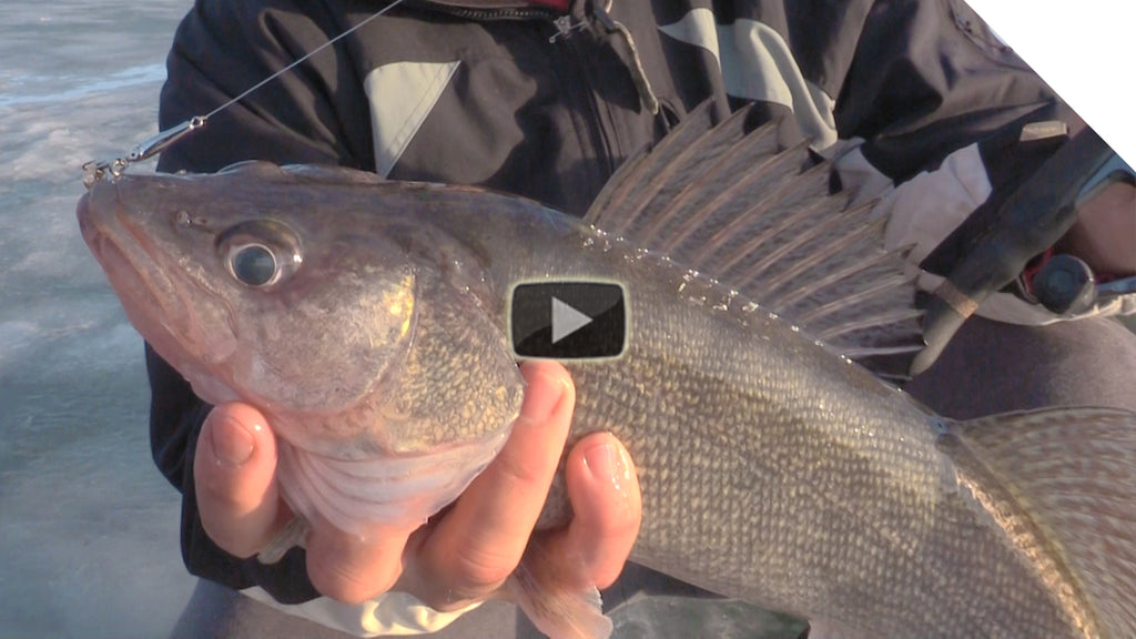 How to use water depth to catch walleye while ice fishing