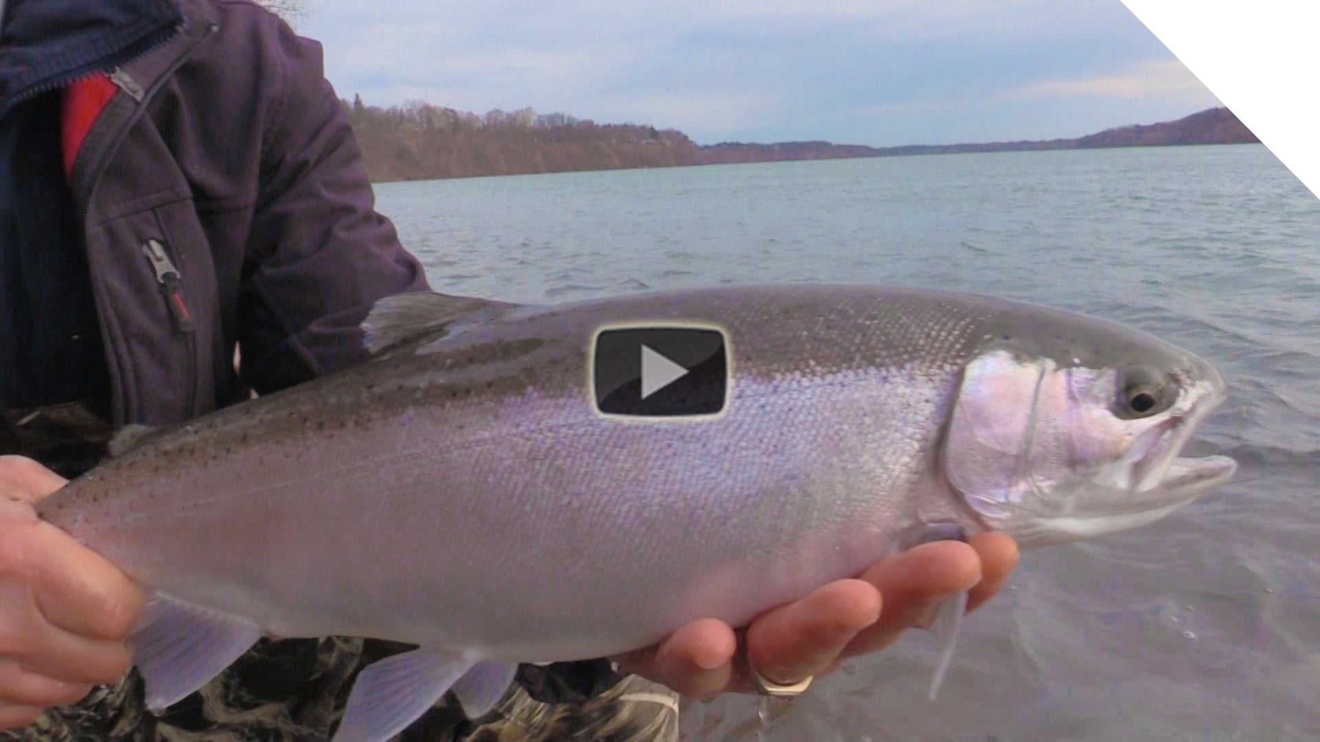Spring Steelhead, on the roe bag bounce – Thundermist Lure Company