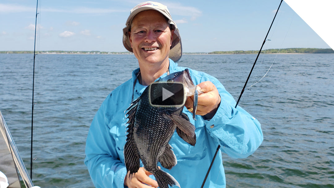 Sea bass on the jigging spoon bite!