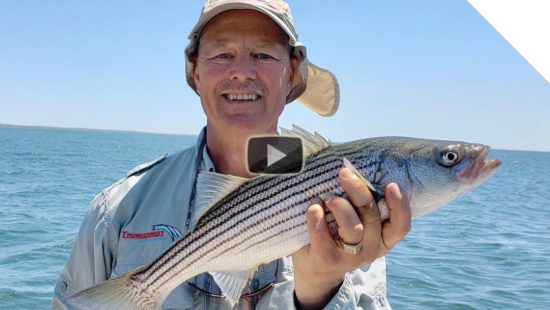 Jerkbait Schoolie Stripers - Amazing fish after fish action!
