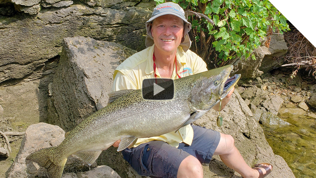 Niagara River Mighty Salmon!