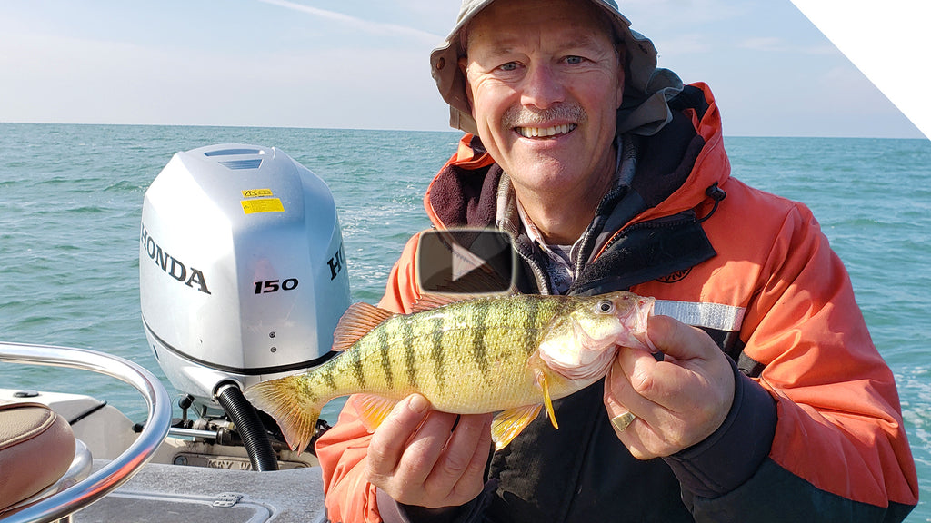 Perch Fishing - Double Minnow Rig