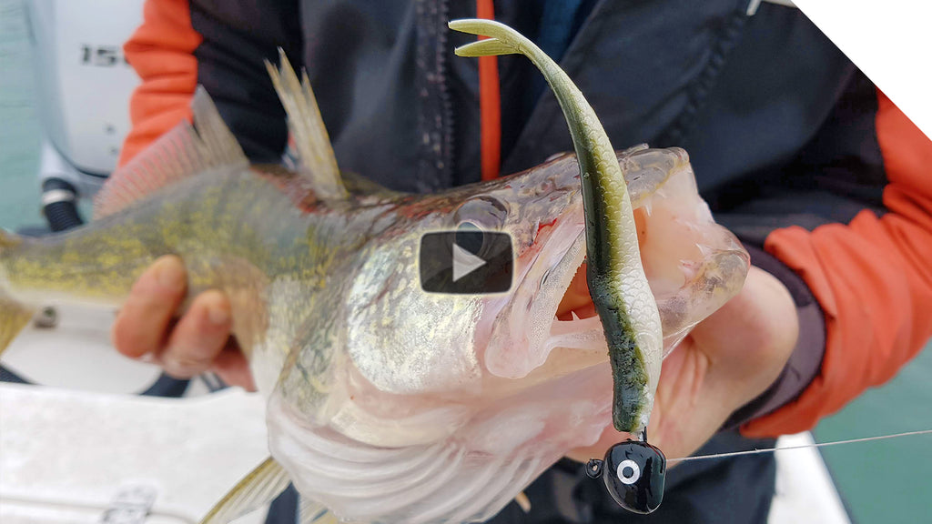 Walleye Fishing Tips: The Walleye Flex!