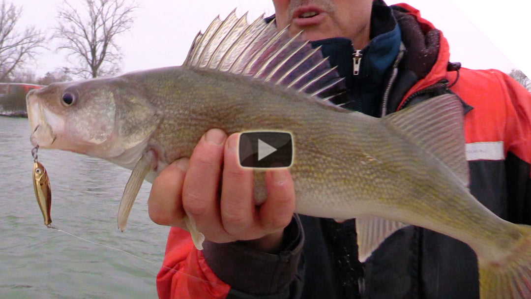 New Lure Sneak Peek! Walleye on the new Peanut Bunker