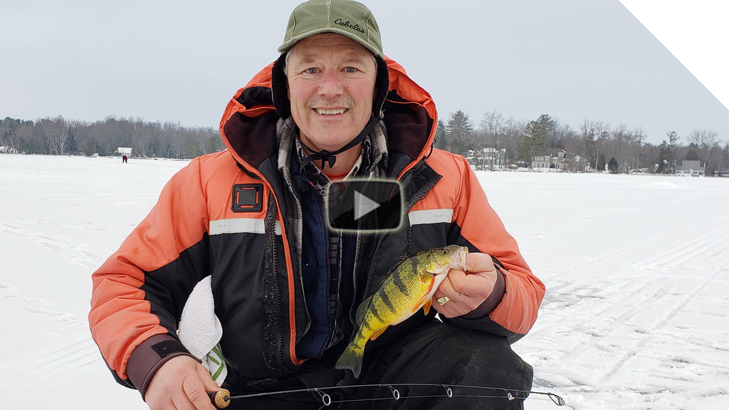 Ice fishing for perch on Cook's Bay, Lake Simcoe