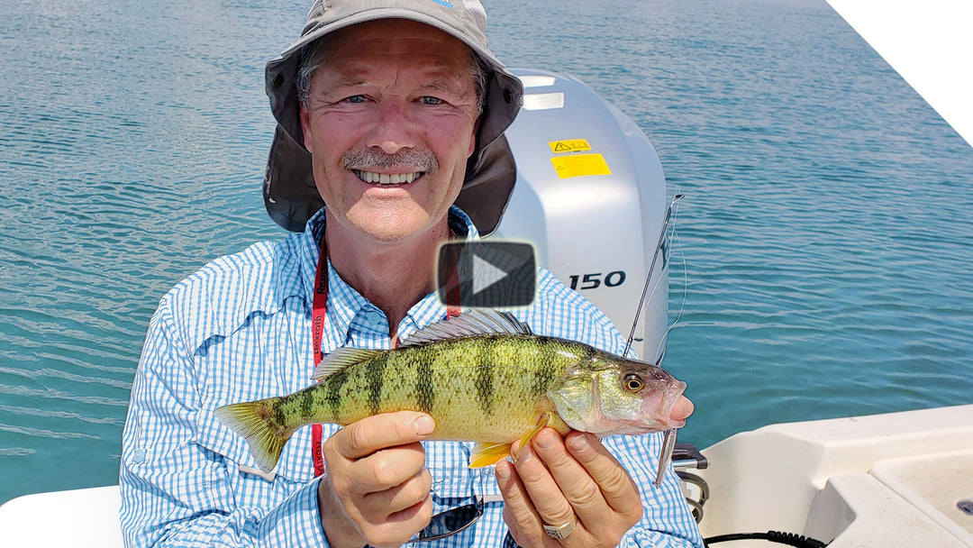 Summertime Perch - Getting Stung!