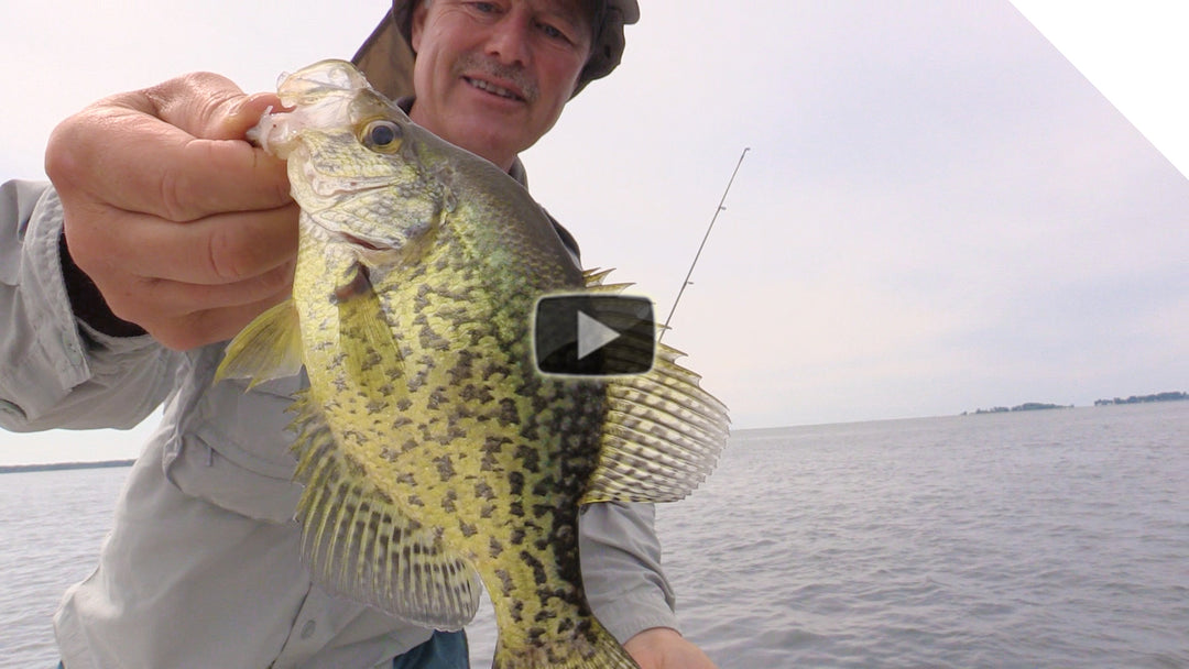 Crappie, panfish and largemouth bass using stingeye spinners