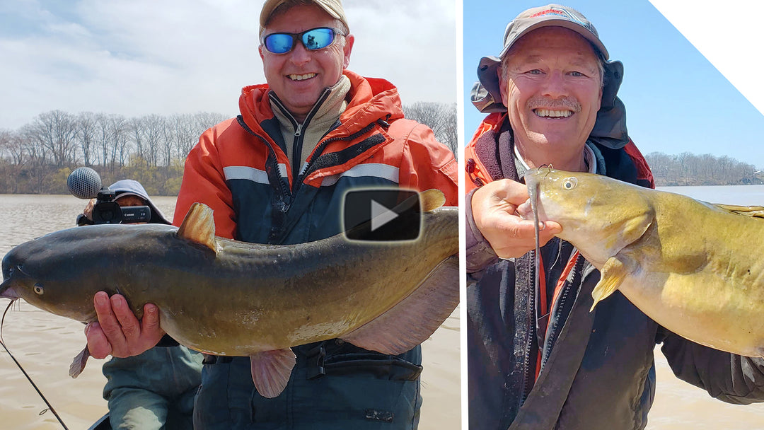 Channel Catfish - beating my personal best, TWICE
