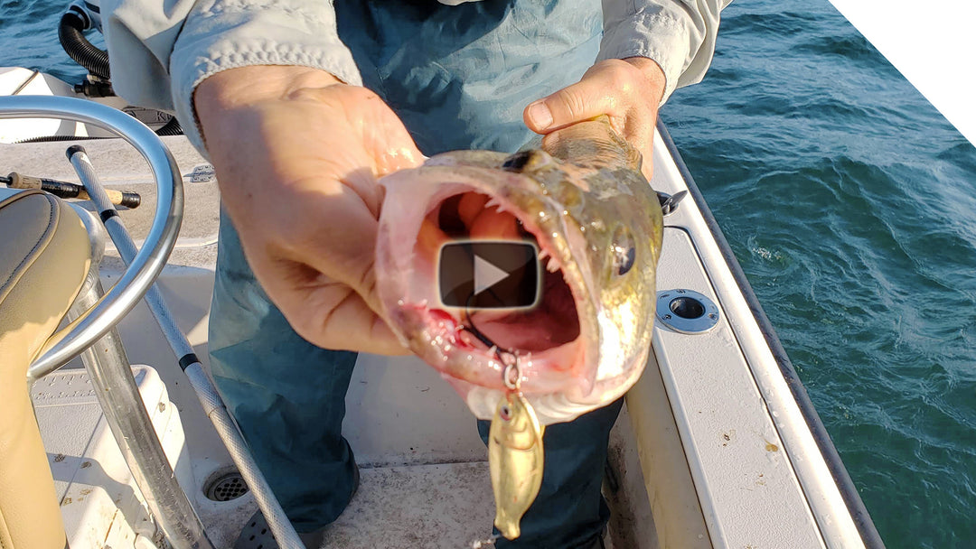 Jigging for walleye tips