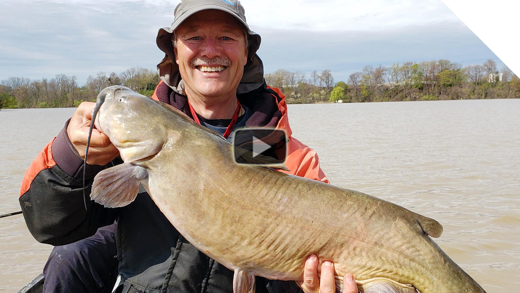 Big time channel catfish action