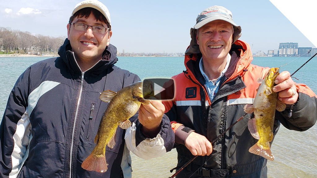 Bullhead Catfish, Shore Fishing | Boatless Angler