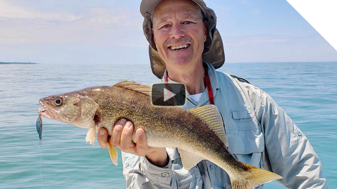 Walleye and Bass getting "stung"