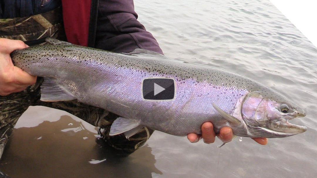 Catching Steelhead using roe bags - bottom bouncing