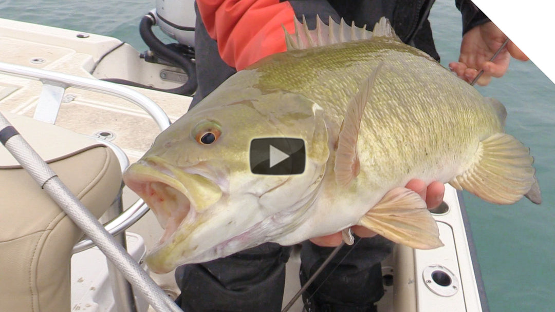 Big bass - making it happen!