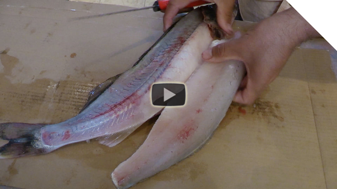 How to "zipper" a walleye - totally boneless fillets
